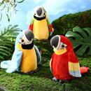 Realistisk papegøyefølge