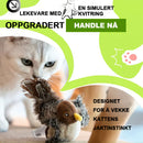 Simulert fuglelyd kjæledyrleketøy