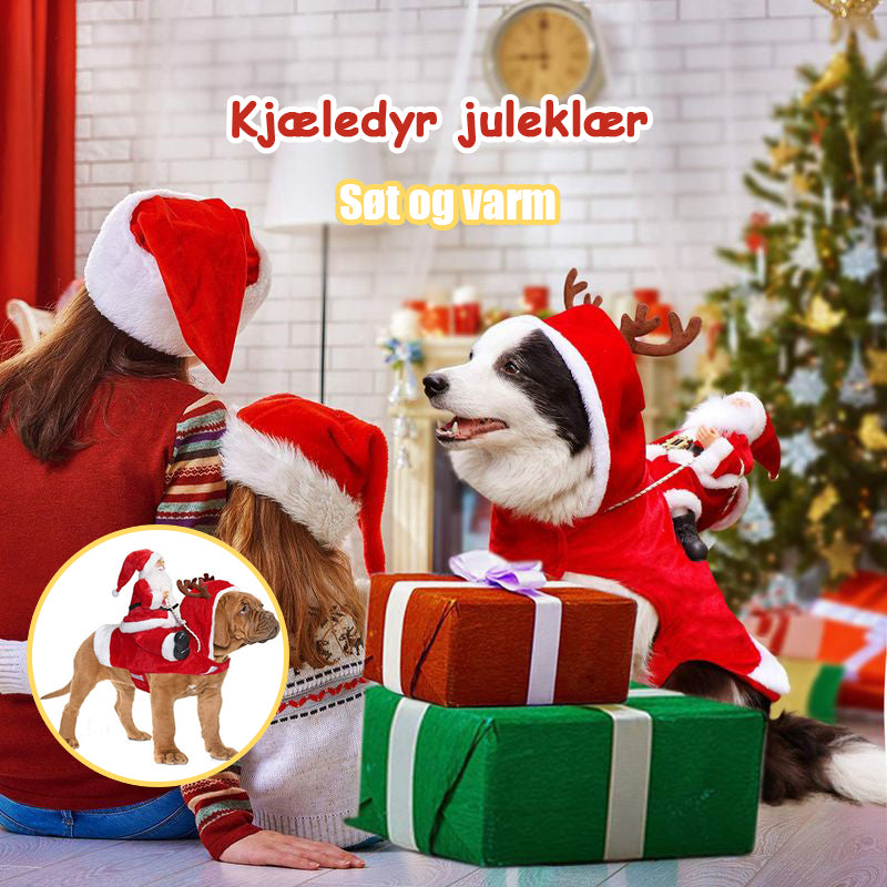 Hundekostyme Kjæledyrjuleklær