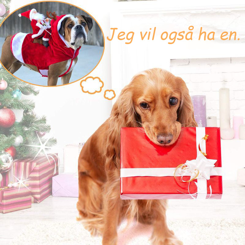 Hundekostyme Kjæledyrjuleklær